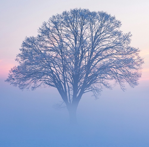 ラクする生活ノート 運営者プロフィール